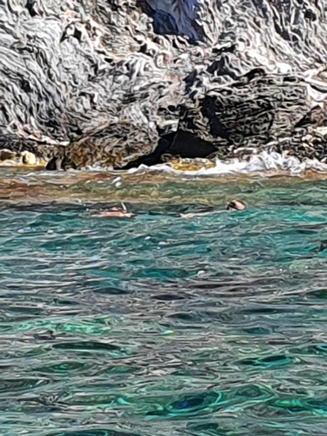 Porquerolles - Nuit insolite à bord du Défi Fou Exterior foto
